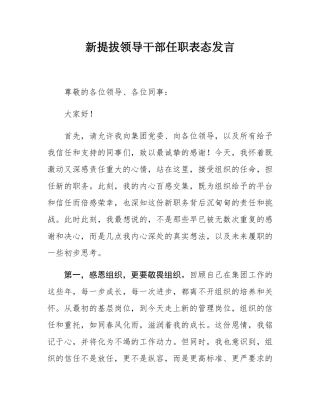 新提拔领导干部任职表态发言.docx