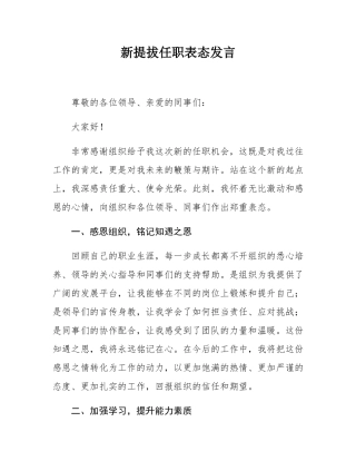 新提拔任职表态发言.docx