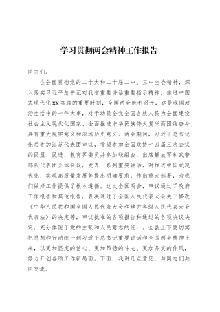 学习贯彻两会精神工作报告.docx
