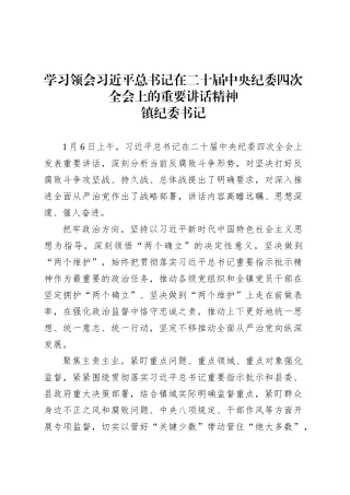 学习领会习近平总书记在二十届中央纪委四次全会上的重要讲话精神-镇纪委.docx