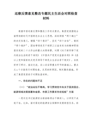 巡察反馈意见整改专题民主SH会对照检查材料.docx