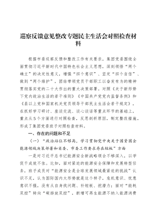 巡察反馈意见整改专题民主生活会对照检查材料.docx