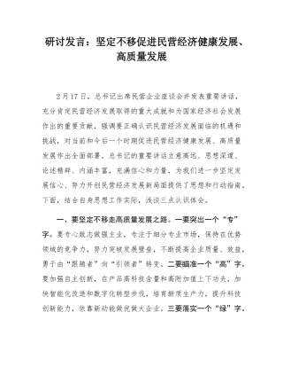 研讨发言：坚定不移促进民营经济健康发展、高质量发展.docx
