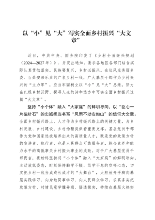 以“小”见“大”写实全面乡村振兴“大文章”.docx