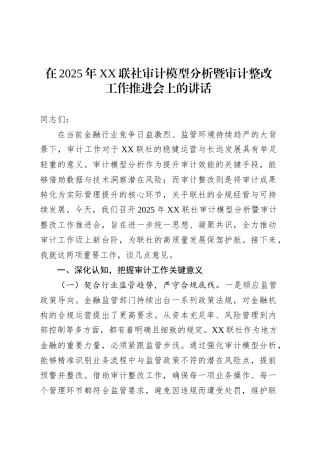 在2025年XX联社审计模型分析暨审计整改工作推进会上的讲话.docx