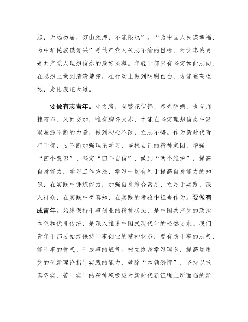 在2025年青年干部培训班上的交流发言提纲.docx_第2页