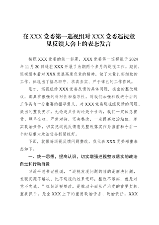 在XXX党委第一巡视组对XXX党委巡视意见反馈大会上的表态发言.docx
