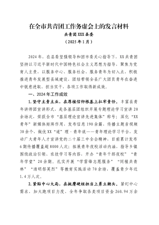在全市共青团工作务虚会上的发言材料（202501）.docx