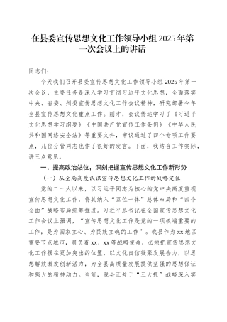 在县委宣传思想文化工作领导小组2025年第一次会议上的讲话.docx