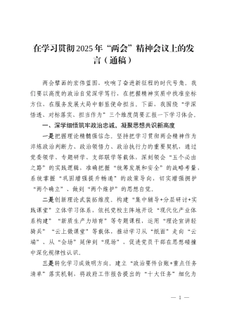 在学习贯彻2025年“两会”精神会议上的发言.docx