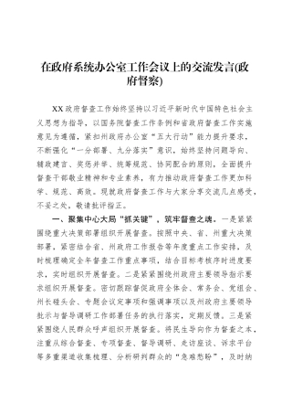 在政府系统办公室工作会议上的交流发言(政府督察).docx