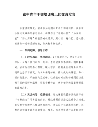 在中青年干部培训班上的交流发言.docx