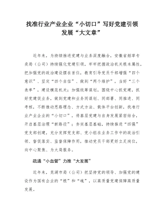 找准行业产业企业“小切口”写好党建引领发展“大文章”.docx