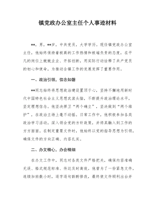镇党政办公室主任个人事迹材料.docx