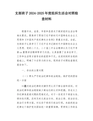 支部班子2024-2025年度组织SH会对照检查材料.docx