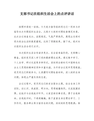 支部书记在组织SH会上的点评讲话.docx