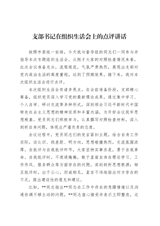 支部书记在组织生活会上的点评讲话.docx