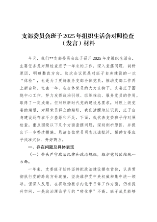 支部委员会班子2025年组织生活会对照检查（发言）材料20250319.docx