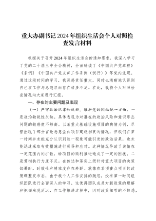 重大办副书记2024年组织生活会个人对照检查发言材料.docx
