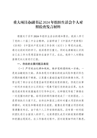 重大项目办副书记2024年组织生活会个人对照检查发言材料.docx