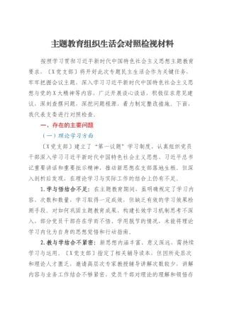 主题教育组织生活会对照检视材料.docx