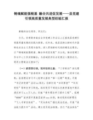 铸魂赋能强根基 融合共进促发展——县党建引领高质量发展典型经验汇报.docx