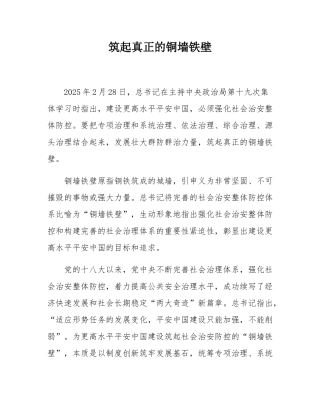 筑起真正的铜墙铁壁.docx