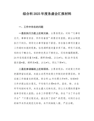 综合科2025年度务虚会汇报材料.docx