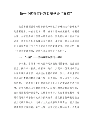 做一个优秀审计项目要学会“五招”.docx