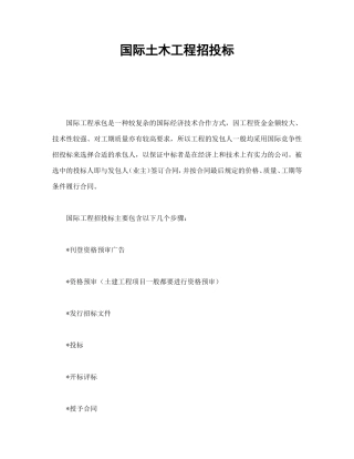 国际土木工程招投标.doc