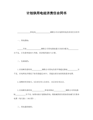 计划供用电经济责任合同书.doc