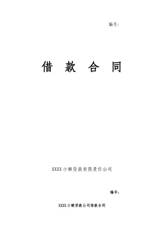 小额贷款公司借款合同.doc
