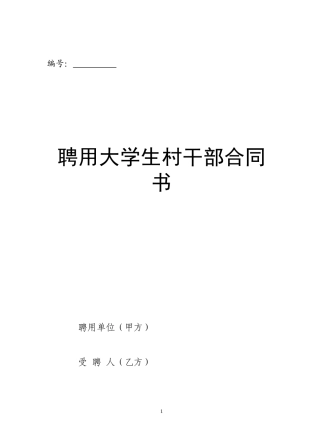 聘用大学生村干部合同书.doc