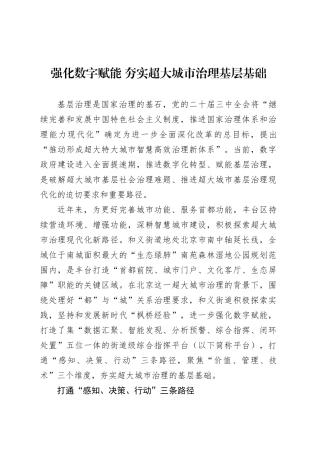 党课讲稿：强化数字赋能 夯实超大城市治理基层基础.docx