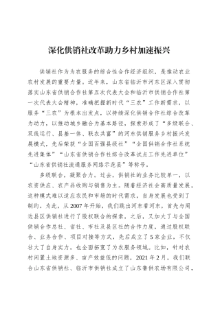 党课讲稿：深化供销社改革助力乡村加速振兴.docx