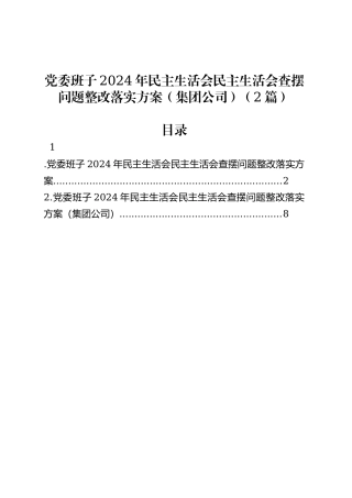 党委班子2024年民主生活会民主生活会查摆问题整改落实方案（集团公司）（2篇）.docx
