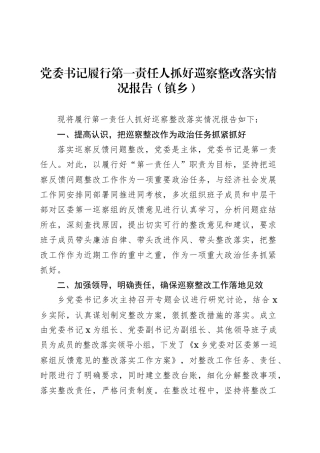 党委书记履行第一责任人抓好巡察整改落实情况报告（镇乡）.docx