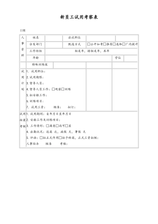 新员工试用考察表.doc