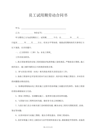 水电工程师试用期劳动合同.doc