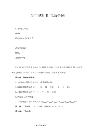 员工试用期劳动合同.docx