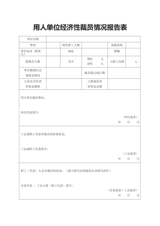 22.用人单位经济性裁员情况报告表.docx