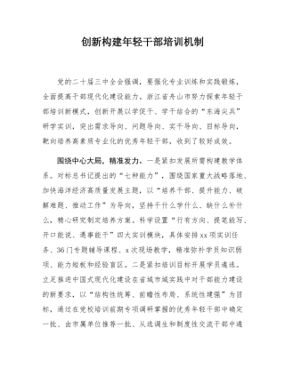 创新构建年轻干部培训机制.docx