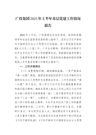 广投集团2025年上半年基层党建工作情况报告.docx
