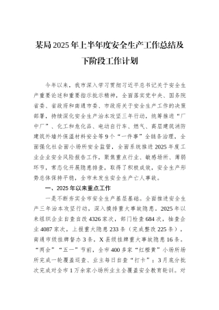 某局2025年上半年度安全生产工作总结及下阶段工作计划.docx
