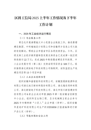 区科工信局2025上半年工作情况及下半年工作计划.docx