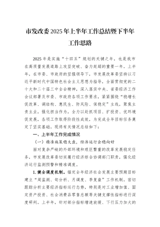 市发改委2025年上半年工作总结暨下半年工作思路.docx