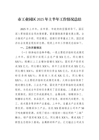 市工业园区2025年上半年工作情况总结.docx