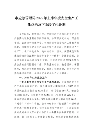 市应急管理局2025年上半年度安全生产工作总结及下阶段工作计划.docx