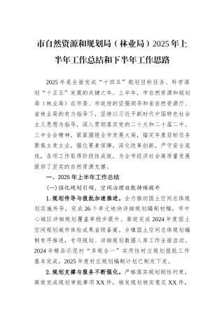 市自然资源和规划局（林业局）2025年上半年工作总结和下半年工作思路.docx