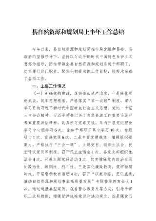 县自然资源和规划局上半年工作总结.docx